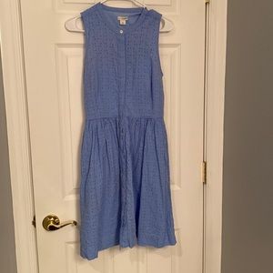 J. Crew dress